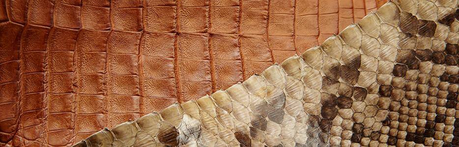What Is Exotic Leather?