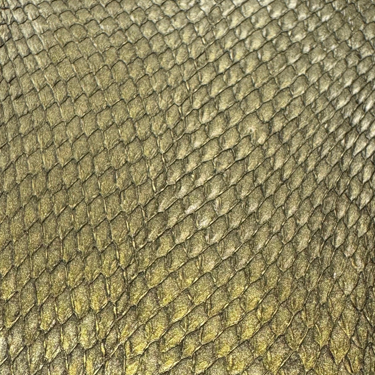 Metallic Salmon Skin