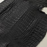 Caiman Crocodile | Black