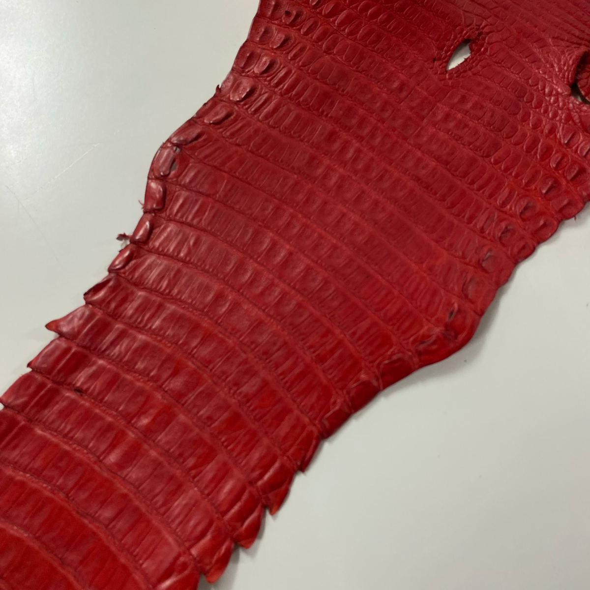 Caiman Crocodile Tail | Matte Red