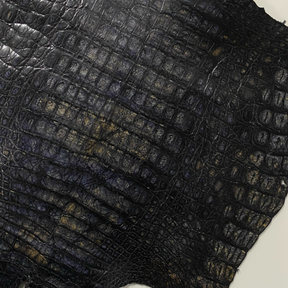 Caiman Crocodile | Navy Glaze