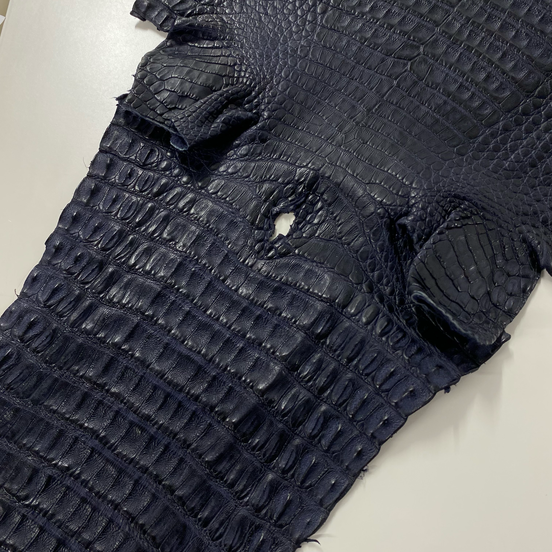 Caiman Crocodile | Navy