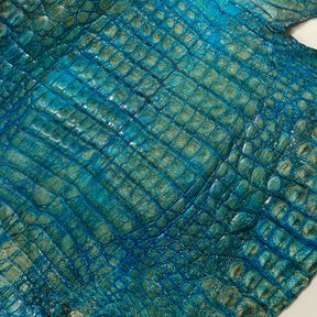 Caiman Crocodile | Blue Green Glaze