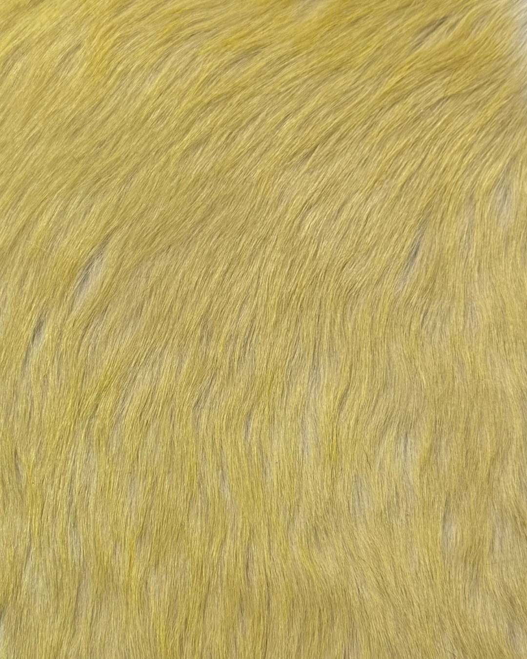 Contrast Two-Toned Hair-on Cow Hide | 2 week lead