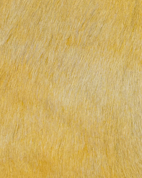 Corrosion Two-Toned Hair-on Cow Hide | 2 week lead