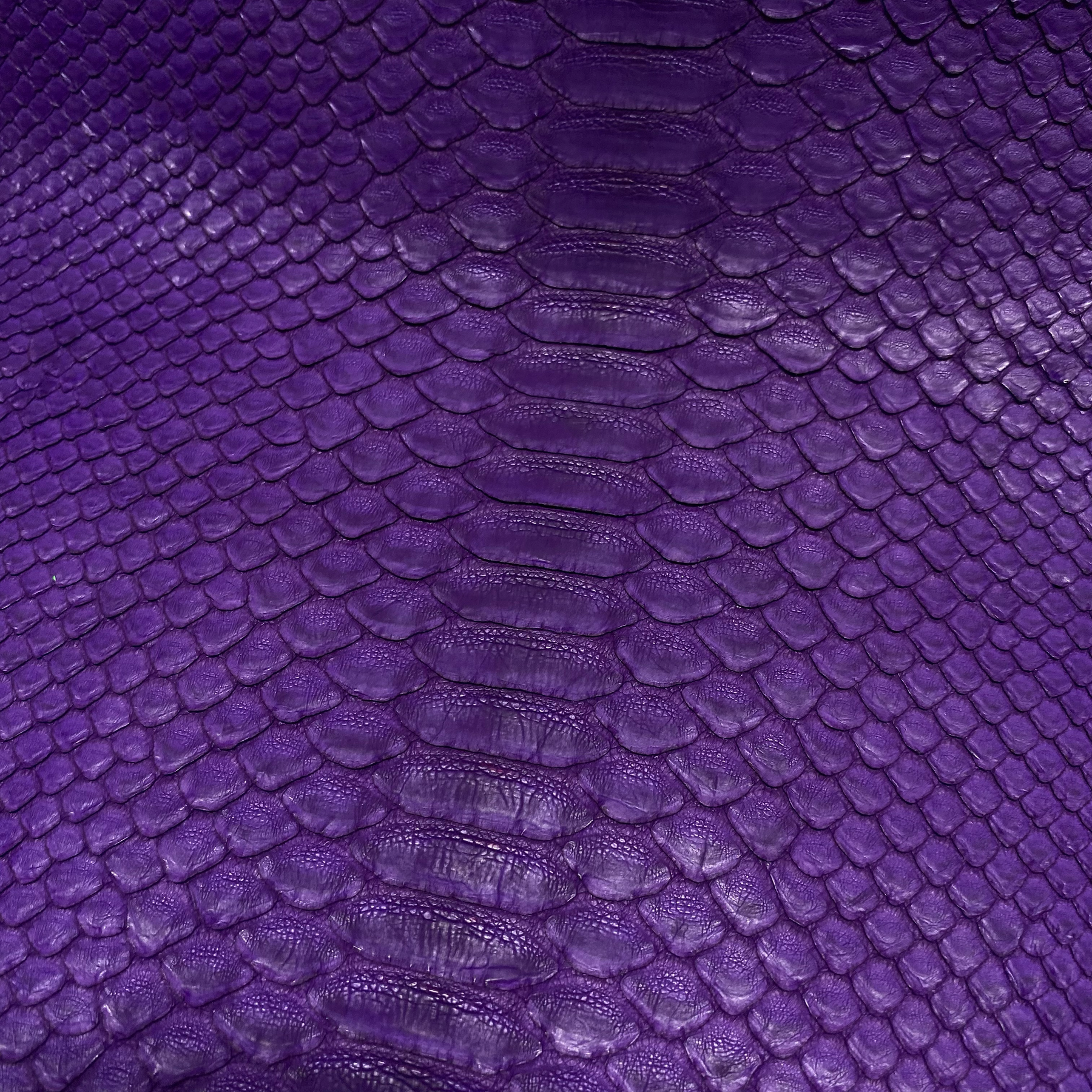 Python Matte | Purple | Short Tail Back Cut | Grade 2