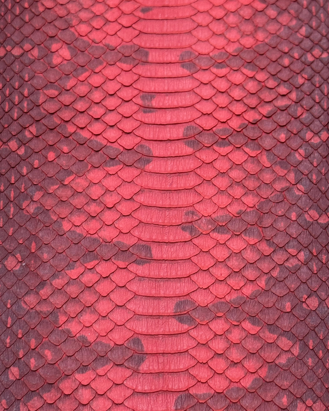 Watersnake Panel | Red