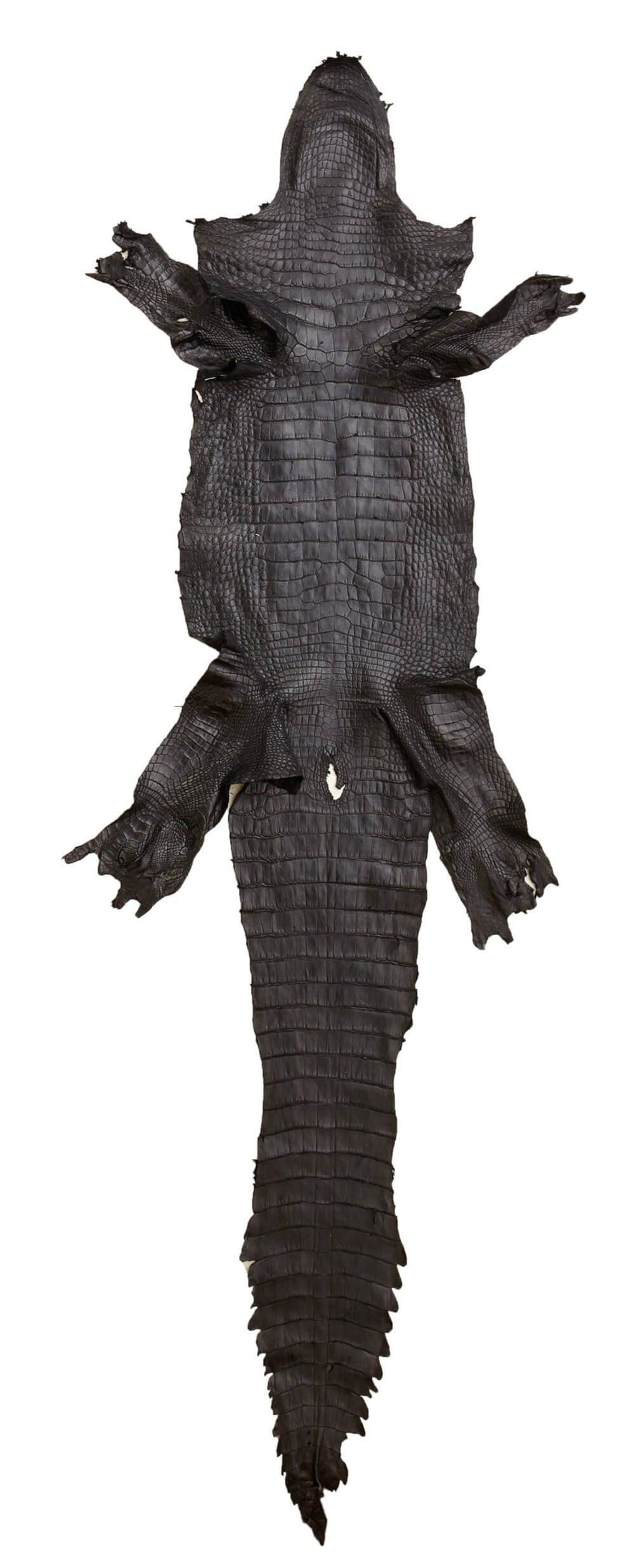Exotic Leather Genuine Alligator Claw Designer Zipper Closure