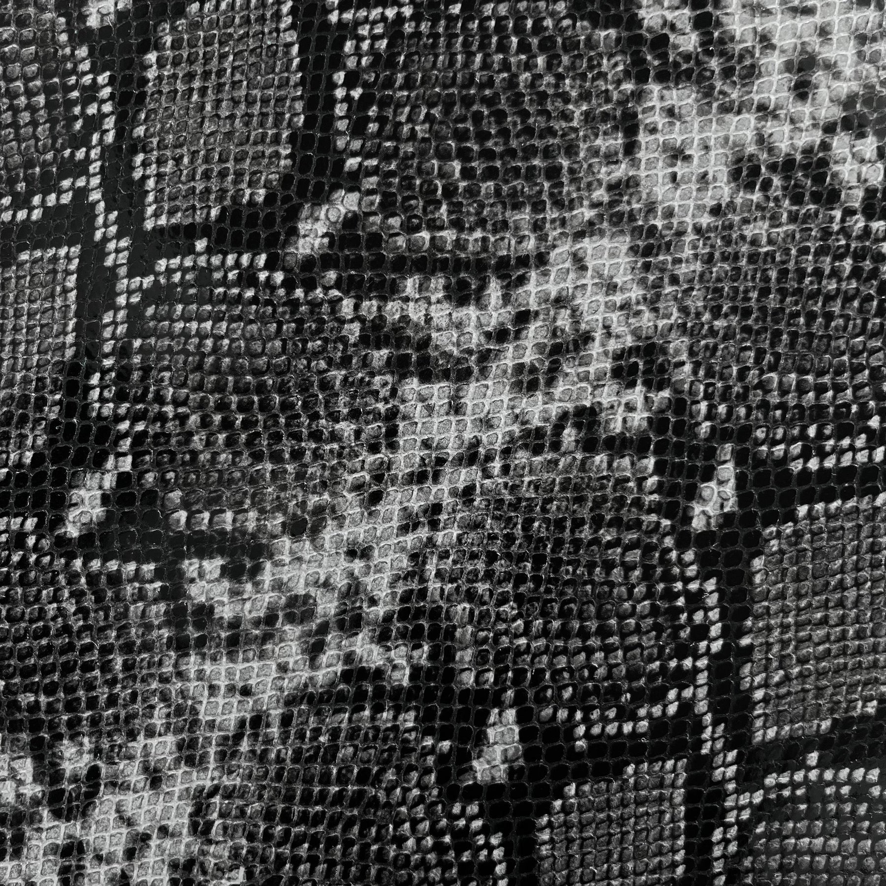 Genuine Leather Python Snake Texture on Lambskin Runway Punk